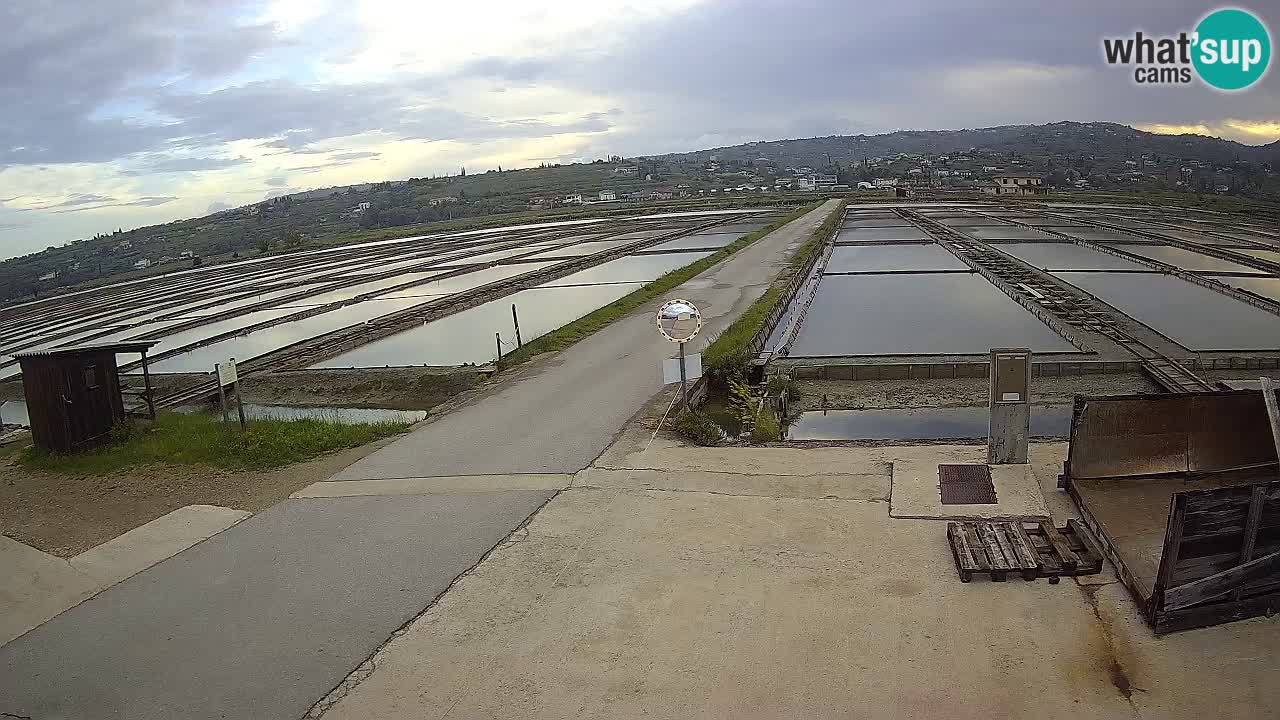 Sečovlje Salina Nature Park