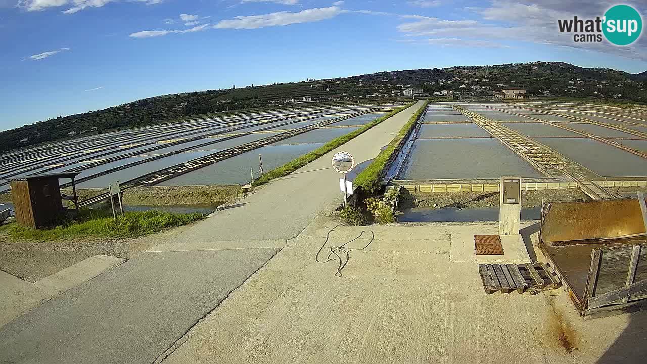 Sečovlje Salina Parque Natural