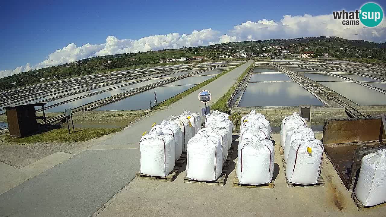Sezza – Panorama e le saline