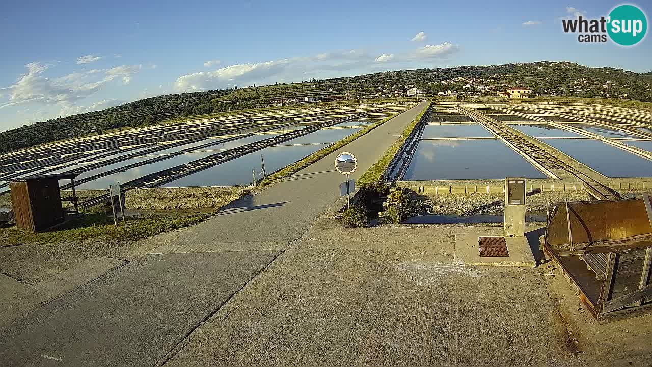 Sečovlje Salina Nature Park