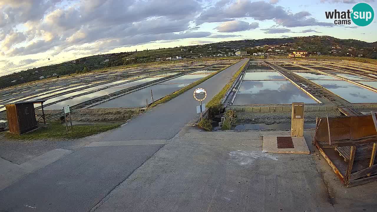 Krajinski Park Sečoveljske Soline