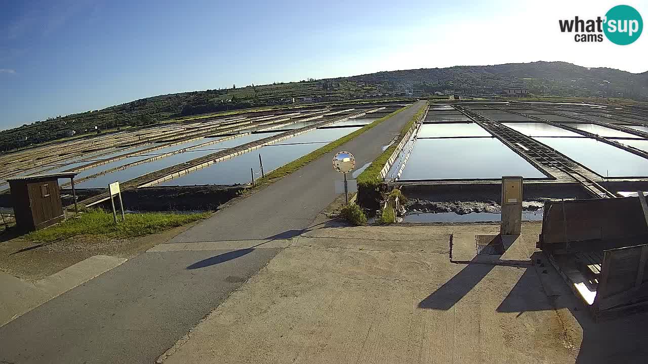 Sezza – Panorama e le saline