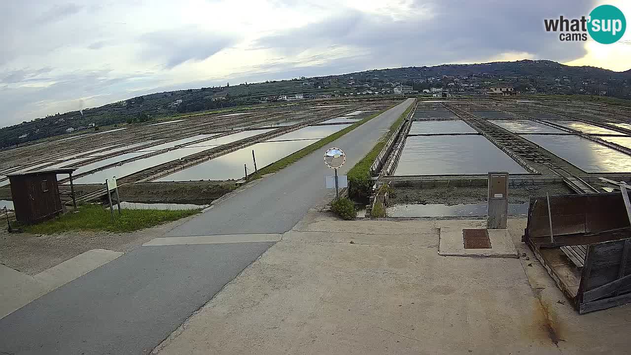 Park prirode Sečovlje Salina