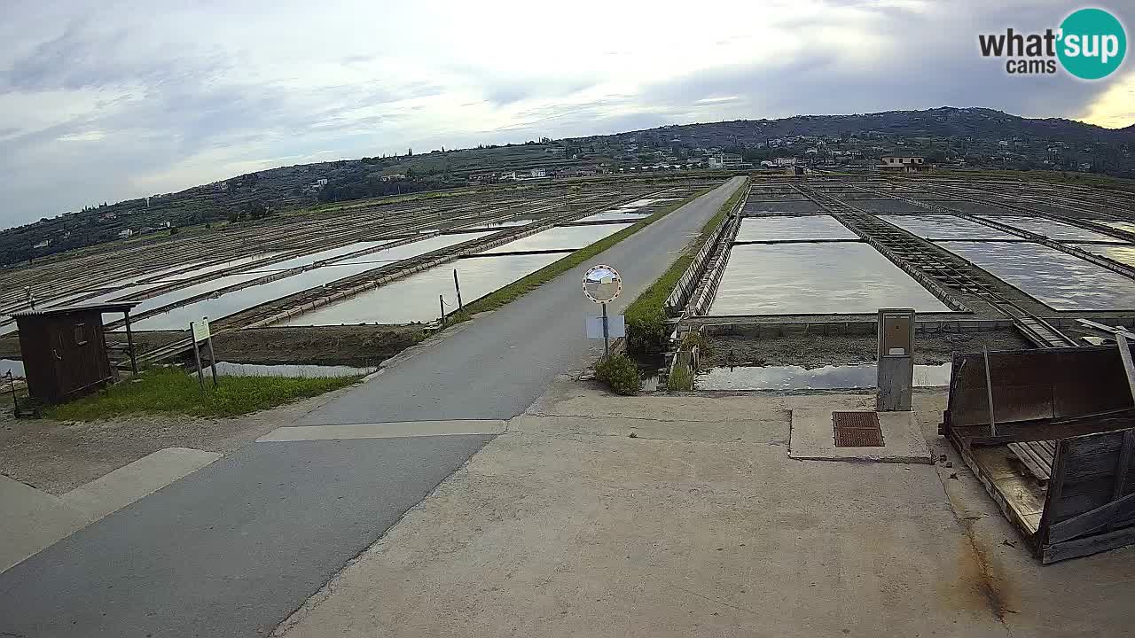 Sezza – Panorama e le saline
