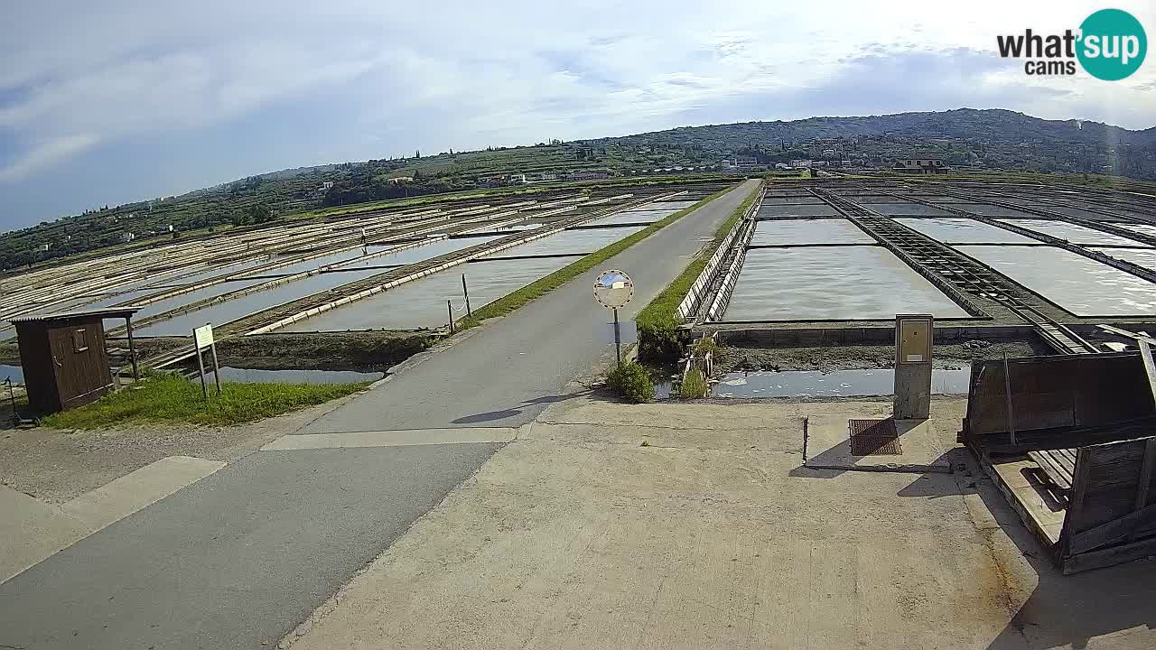 Parco Naturale Saline di Sicciole