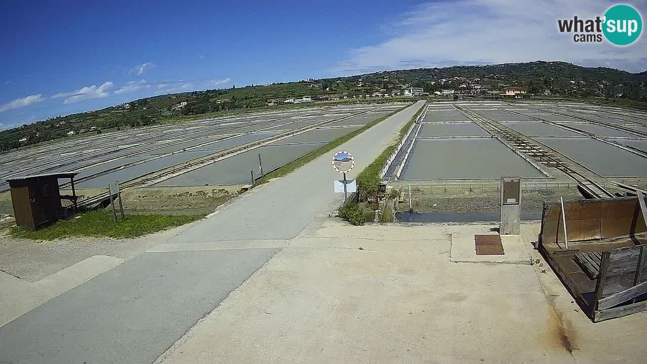 Krajinski Park Sečoveljske Soline