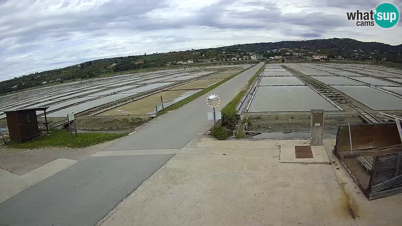 Sečovlje Salina Parque Natural