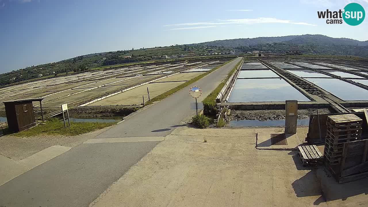 Sečovlje Salina Nature Park – KPSS