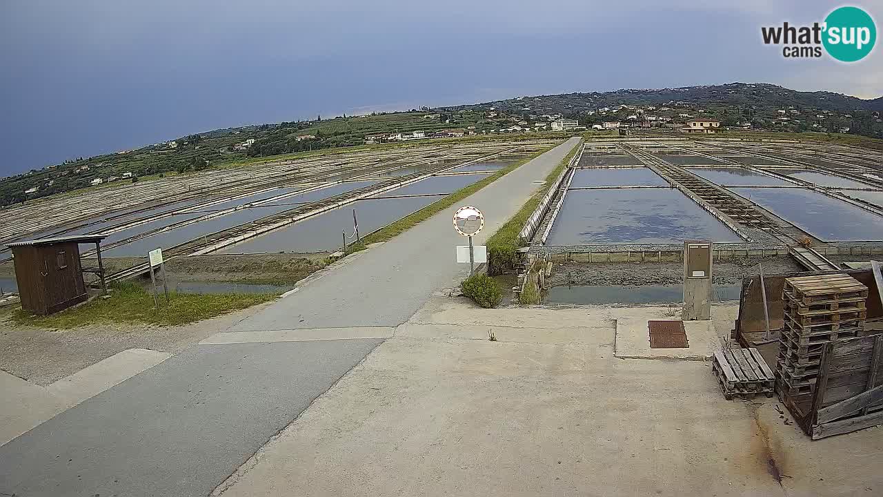 Sečovlje Salina Parque Natural