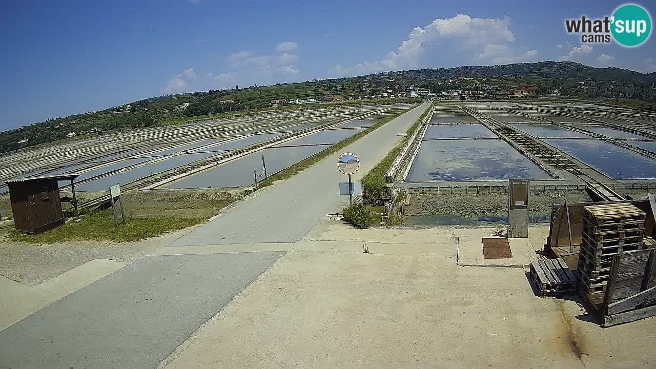 Sečovlje Salina Parque Natural