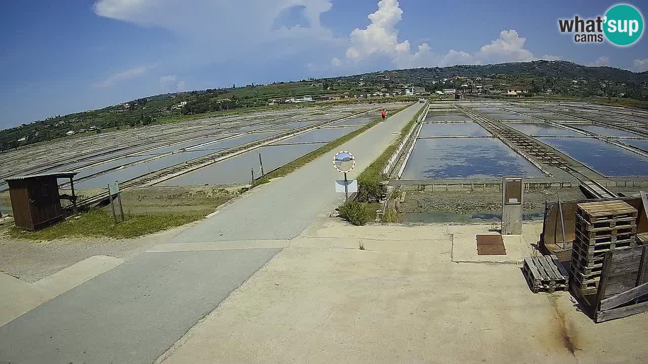 Sečovlje Salina Nature Park