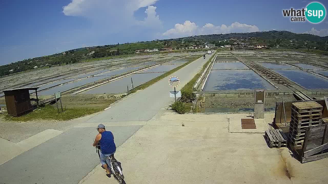 Park prirode Sečovlje Salina