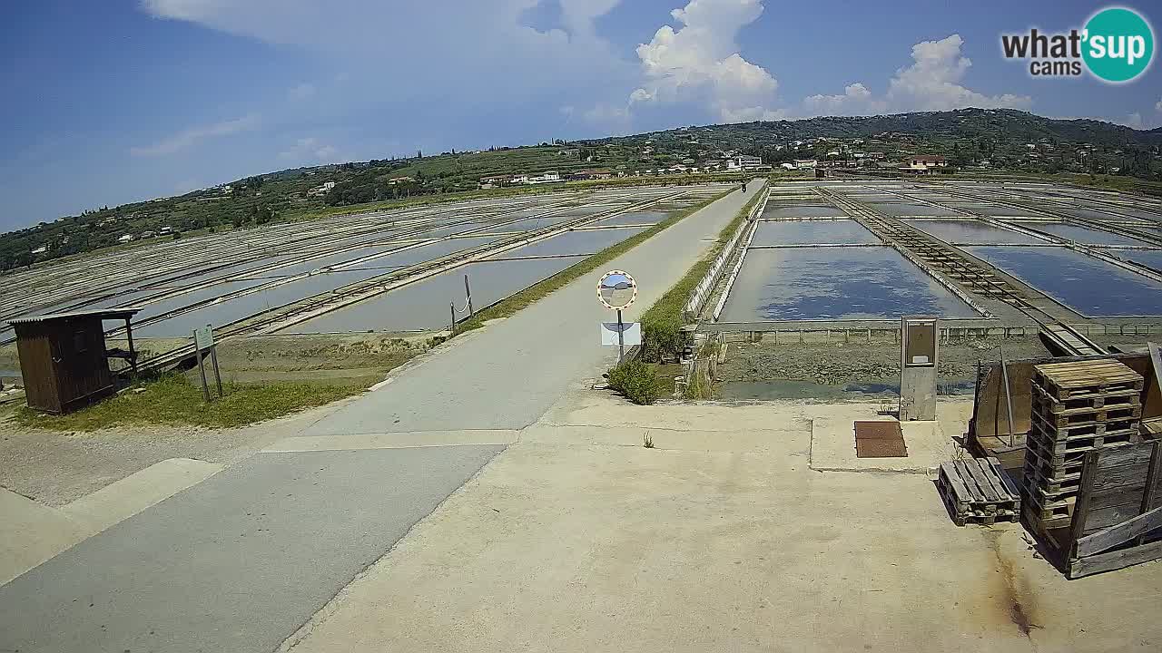 Park prirode Sečovlje Salina