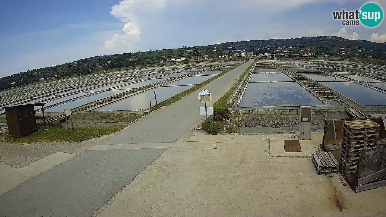 Krajinski Park Sečoveljske Soline
