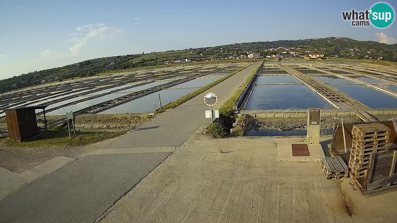 Sezza – Panorama e le saline