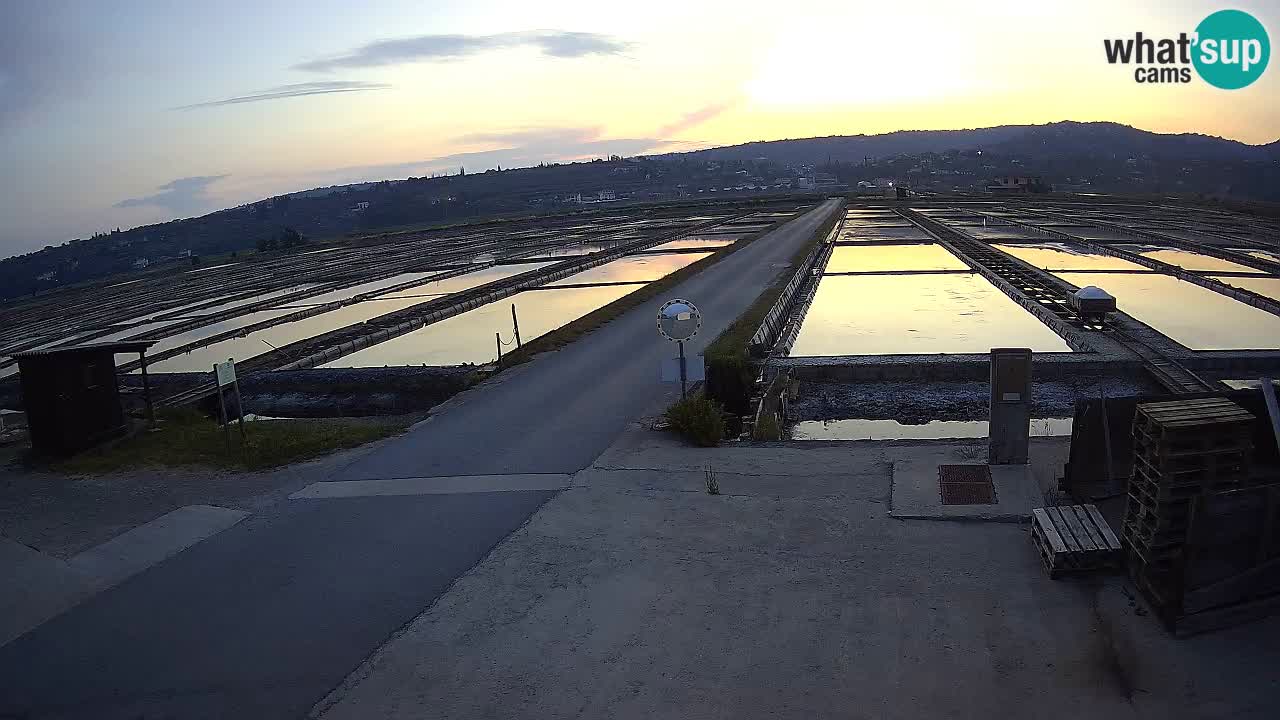 Park prirode Sečovlje Salina