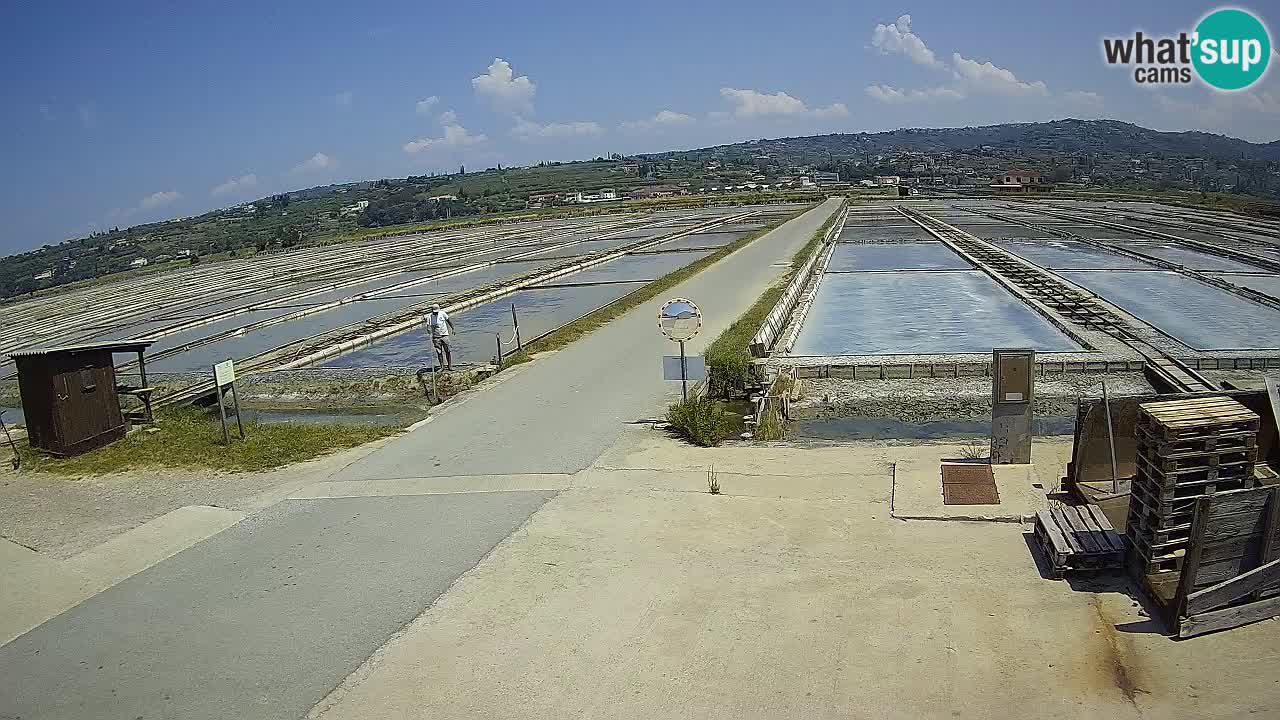 Parco Naturale Saline di Sicciole