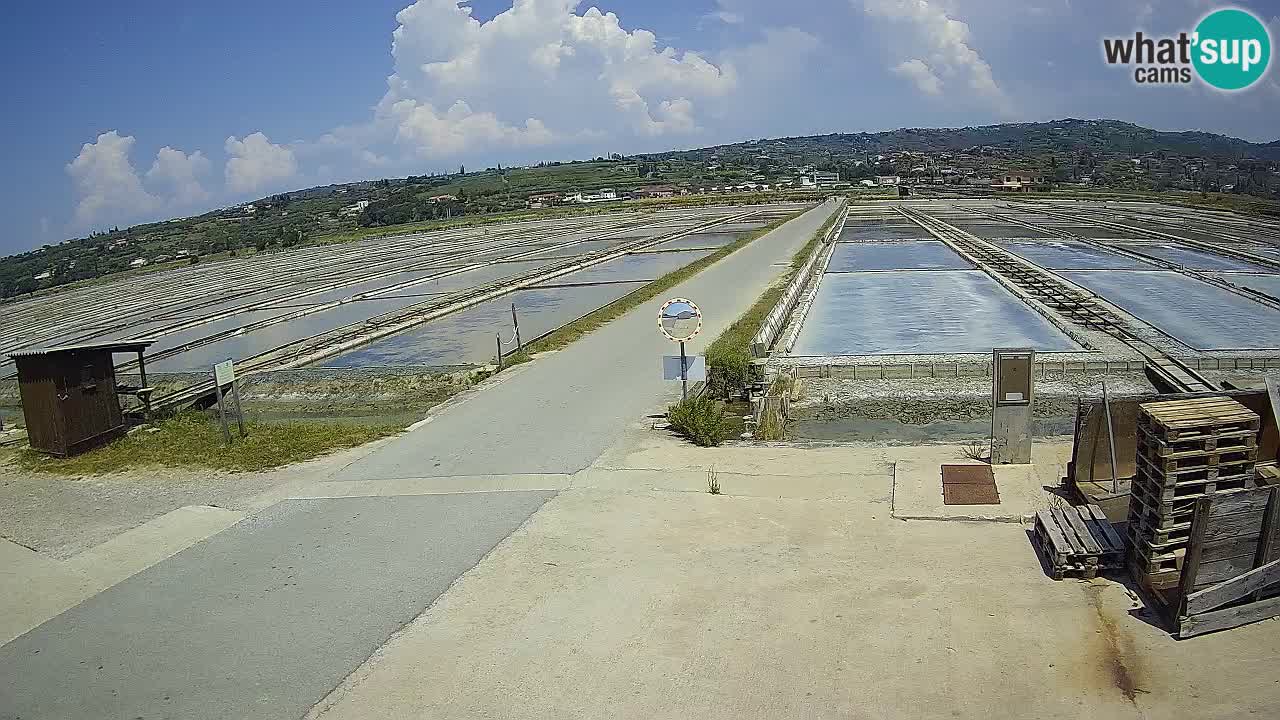 Sezza – Panorama e le saline