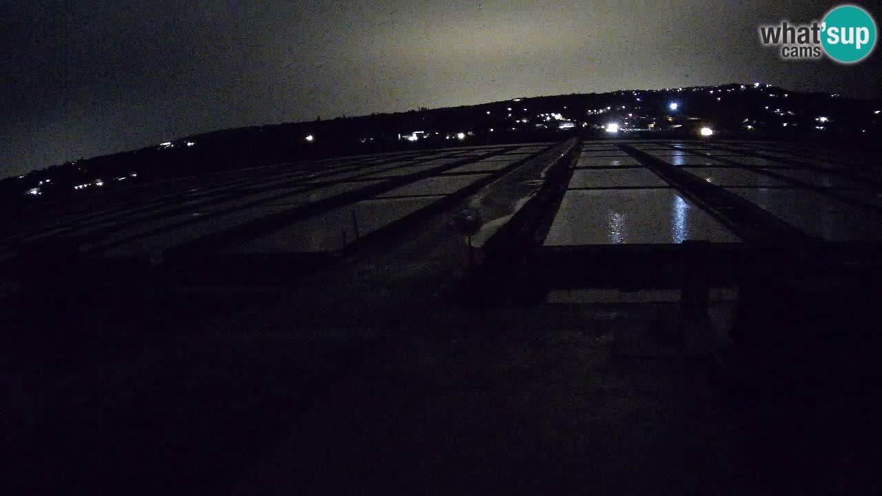 Naturpark der Salinen von Sečovlje