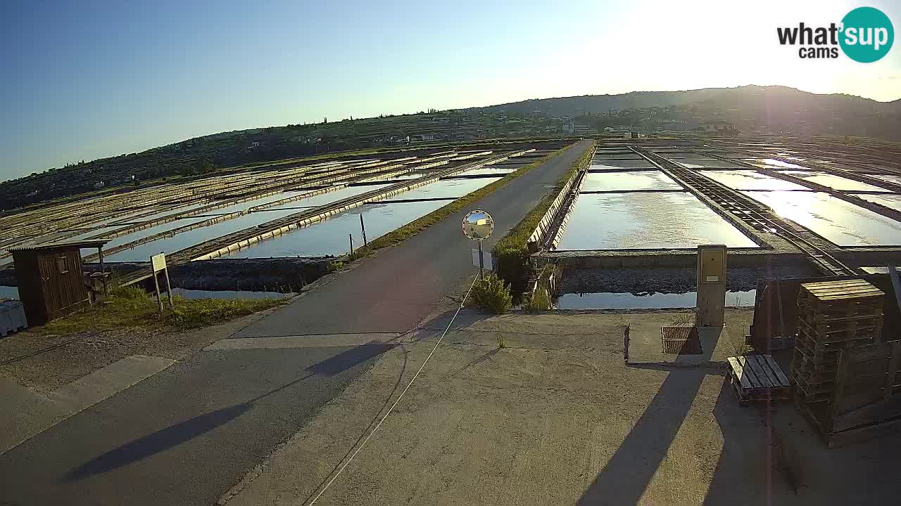 Krajinski Park Sečoveljske Soline