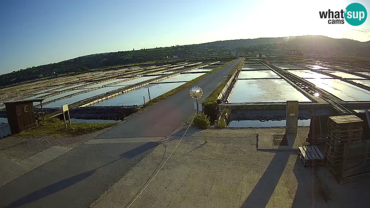 Park prirode Sečovlje Salina