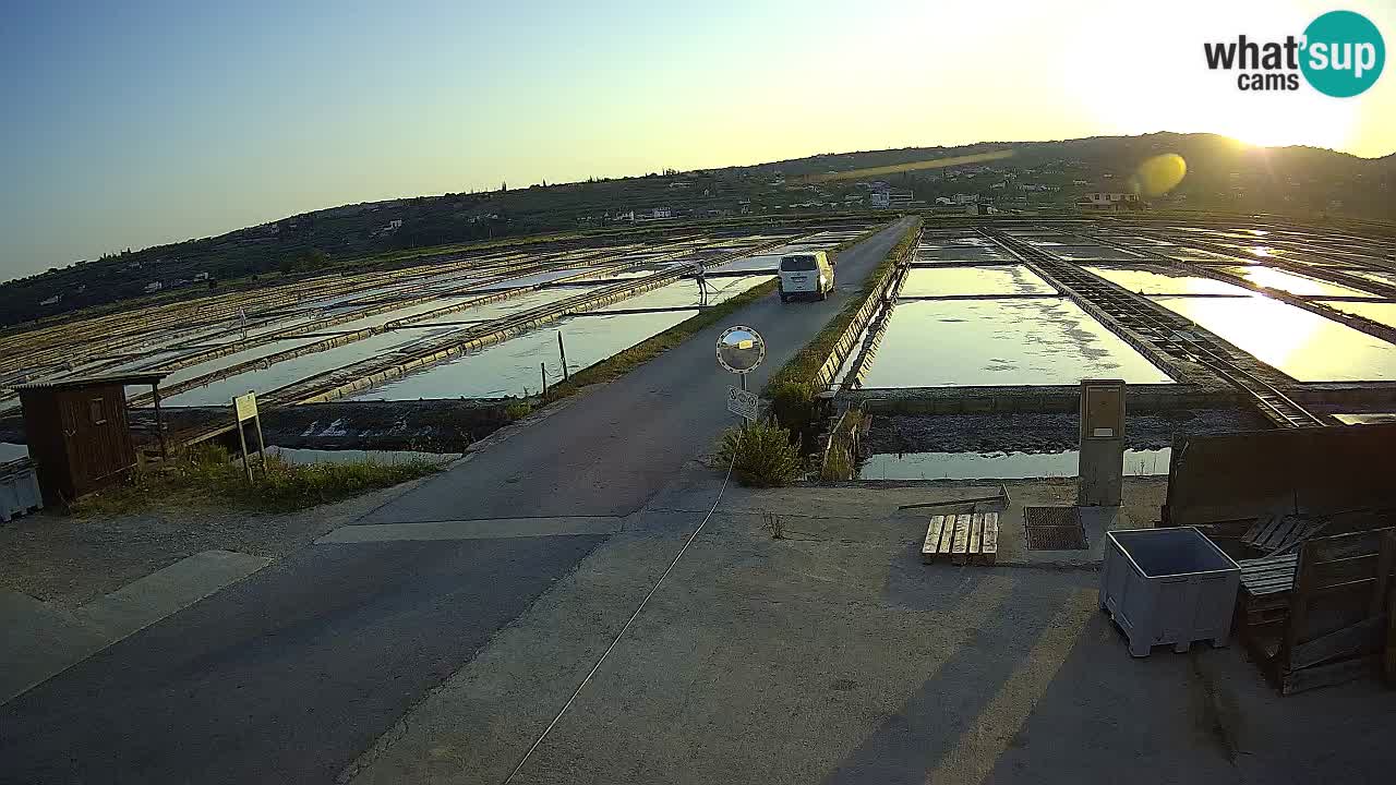 Krajinski Park Sečoveljske Soline