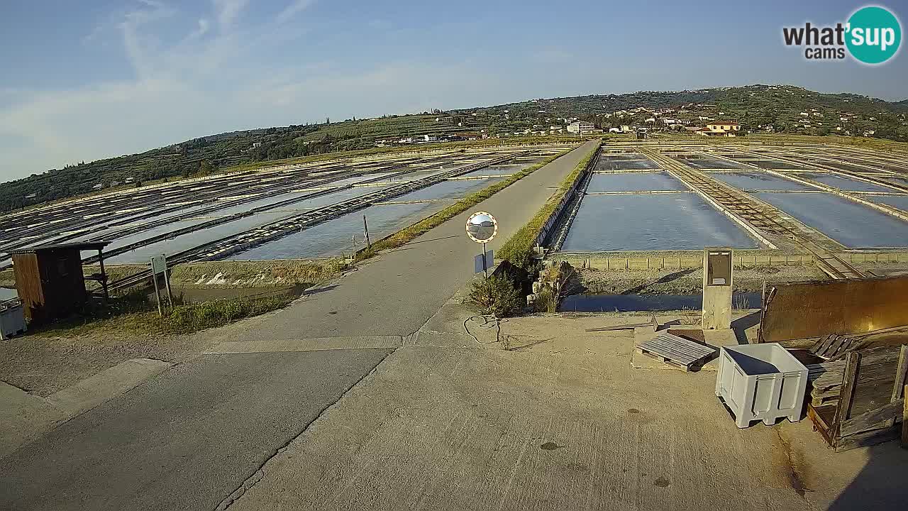 Parco Naturale Saline di Sicciole