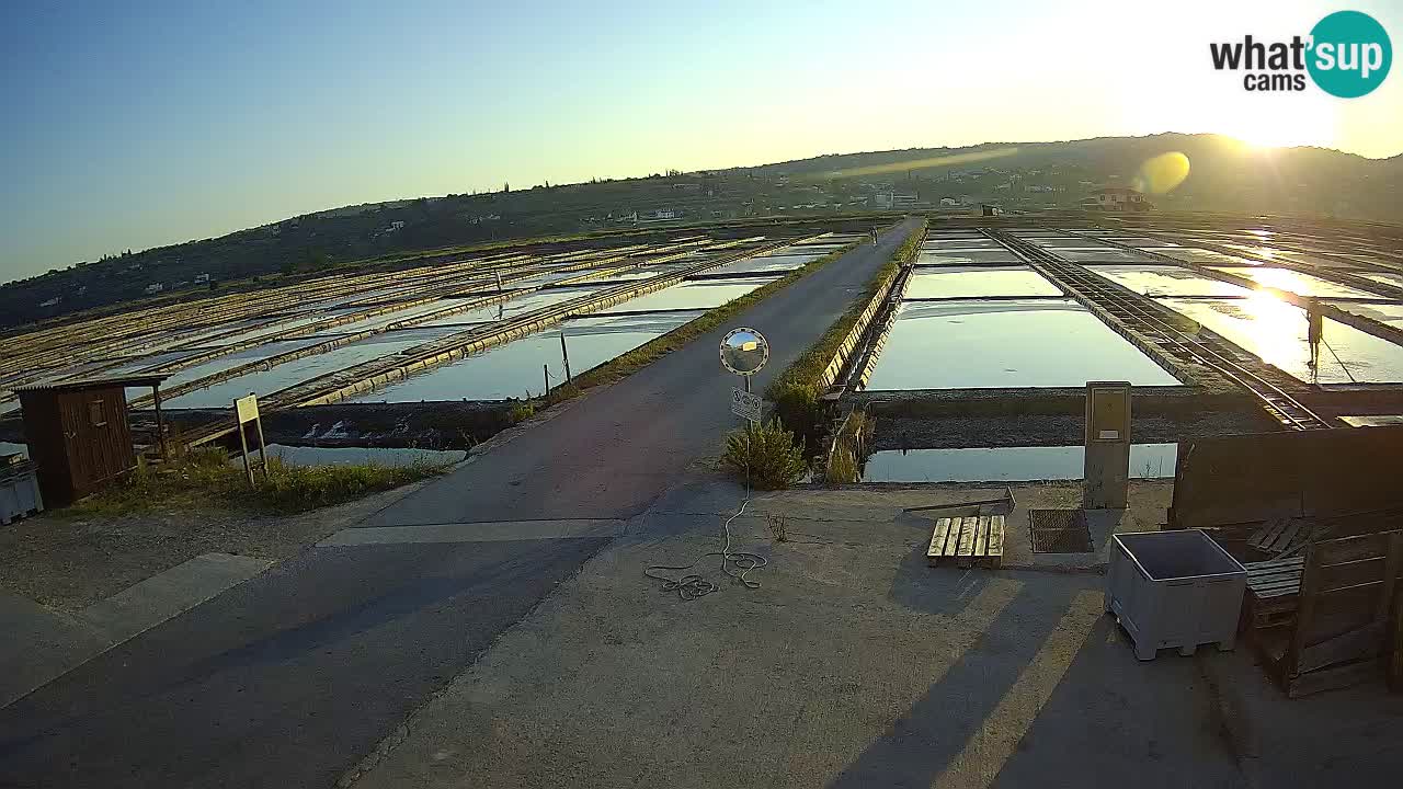 Krajinski Park Sečoveljske Soline