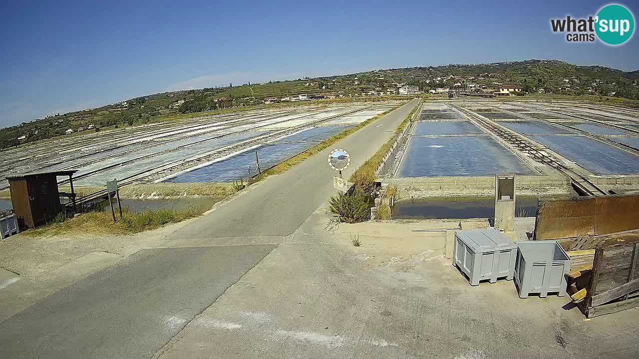 Sečovlje Salina Parque Natural
