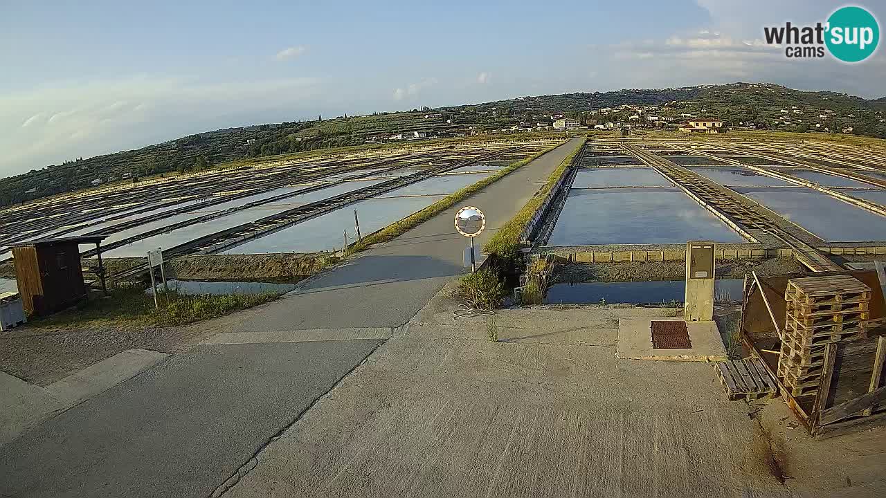Sečovlje Salina Nature Park – KPSS