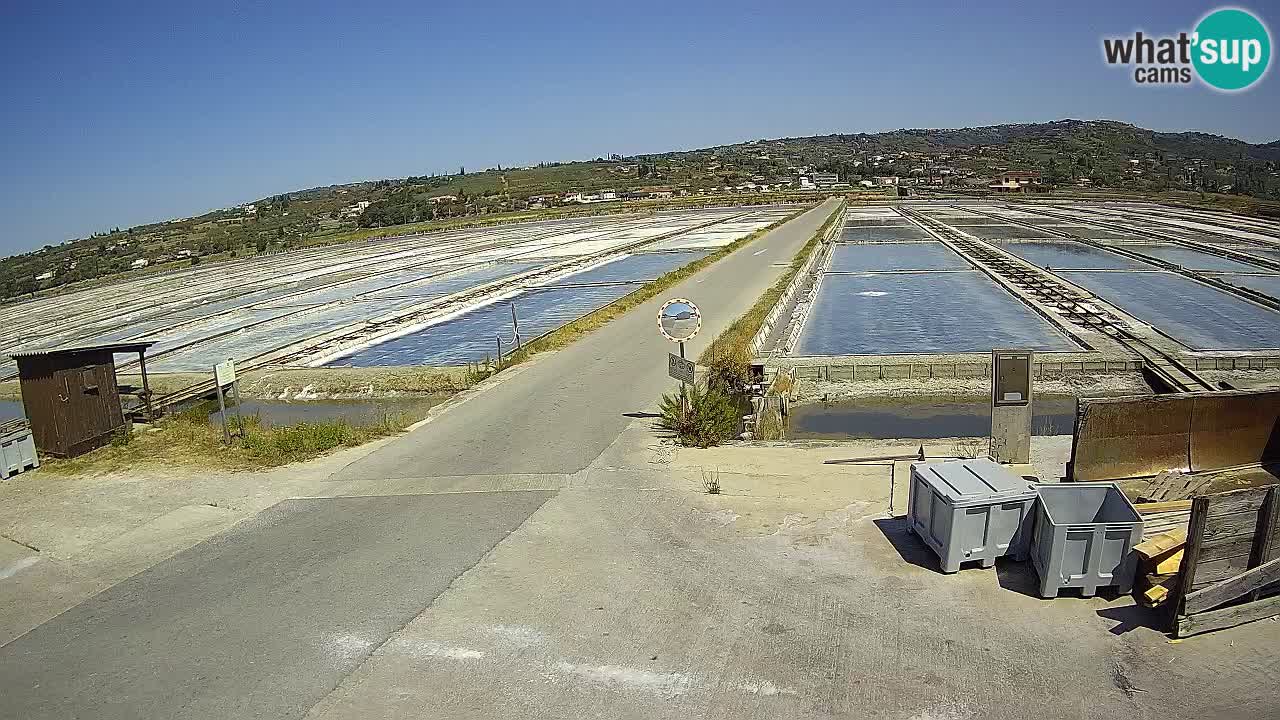 Park prirode Sečovlje Salina
