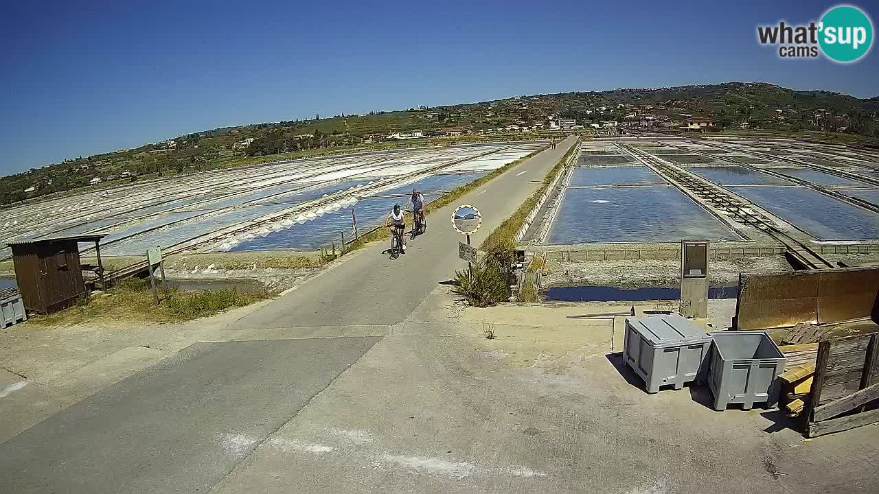 Sečovlje Salina Nature Park