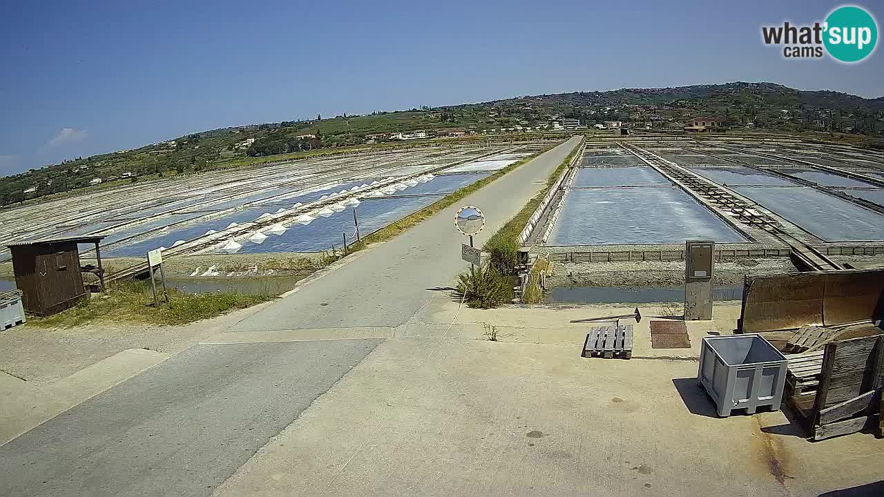 Sečovlje Salina Nature Park