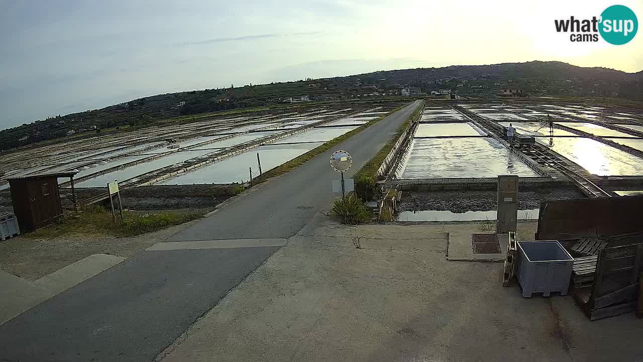 Parco Naturale Saline di Sicciole