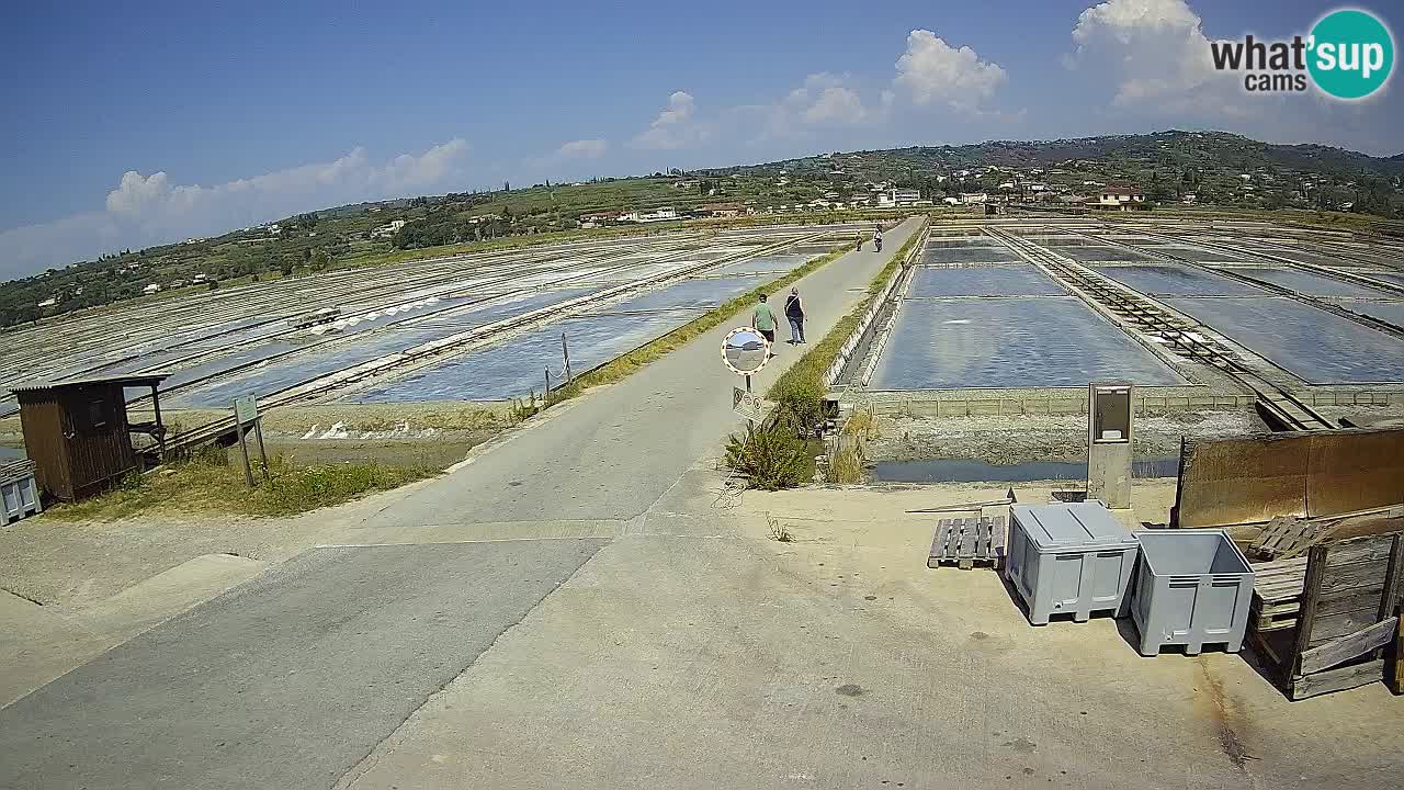 Park prirode Sečovlje Salina