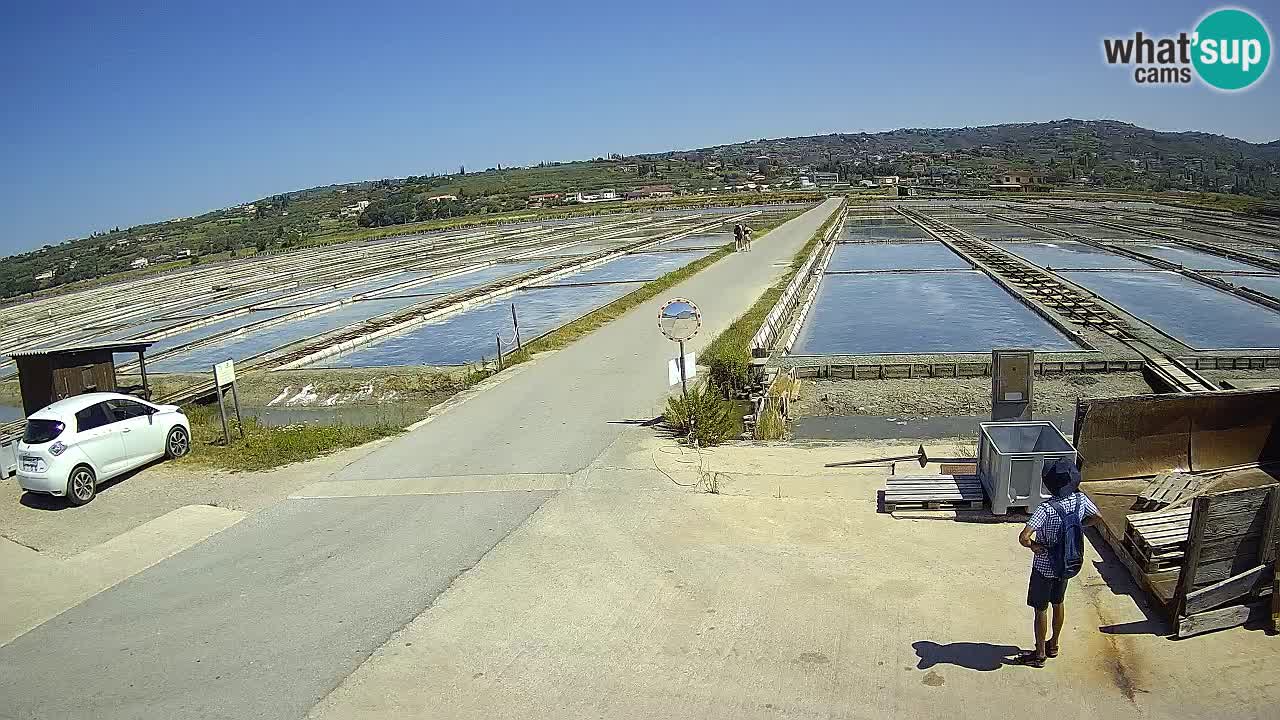 Sečovlje Salina Parque Natural