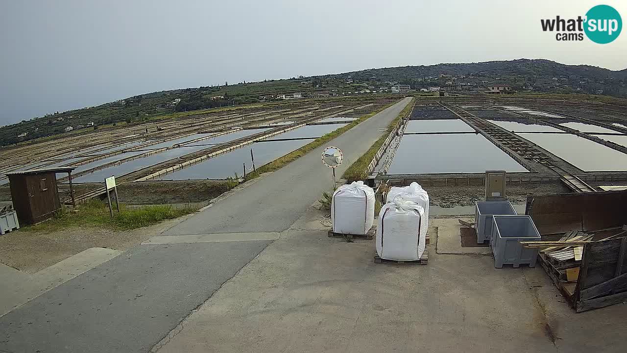 Sečovlje Salina Nature Park