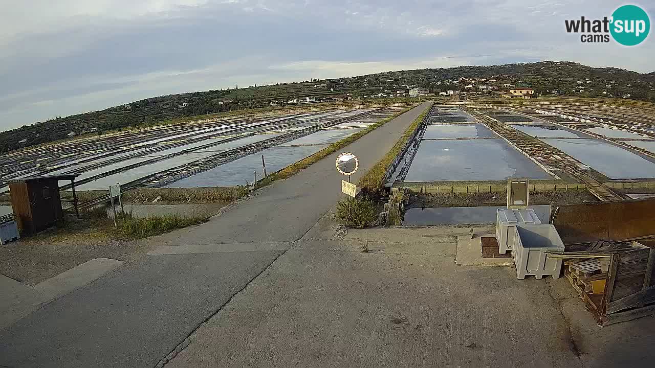 Sezza – Panorama e le saline
