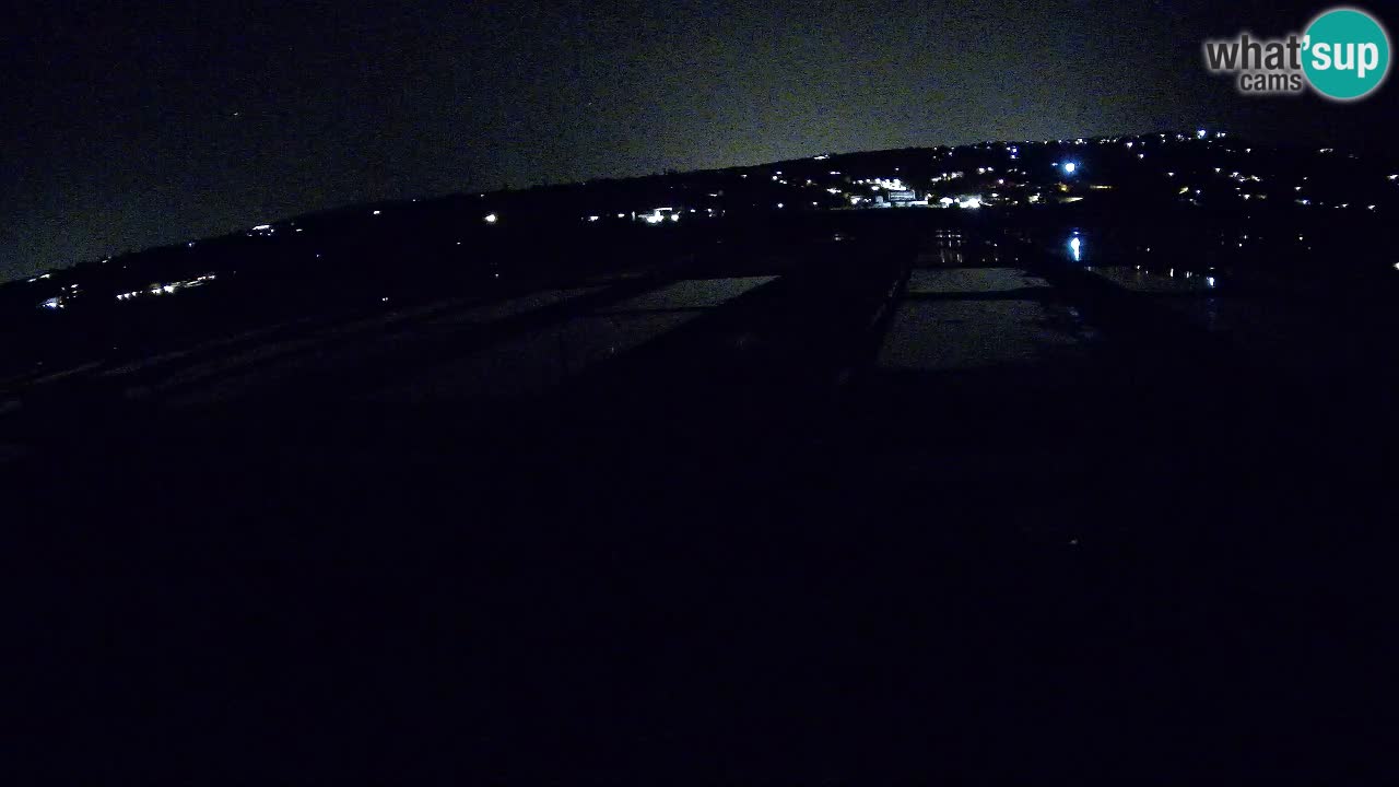 Krajinski Park Sečoveljske Soline