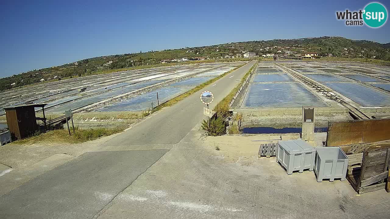 Sečovlje Salina Nature Park