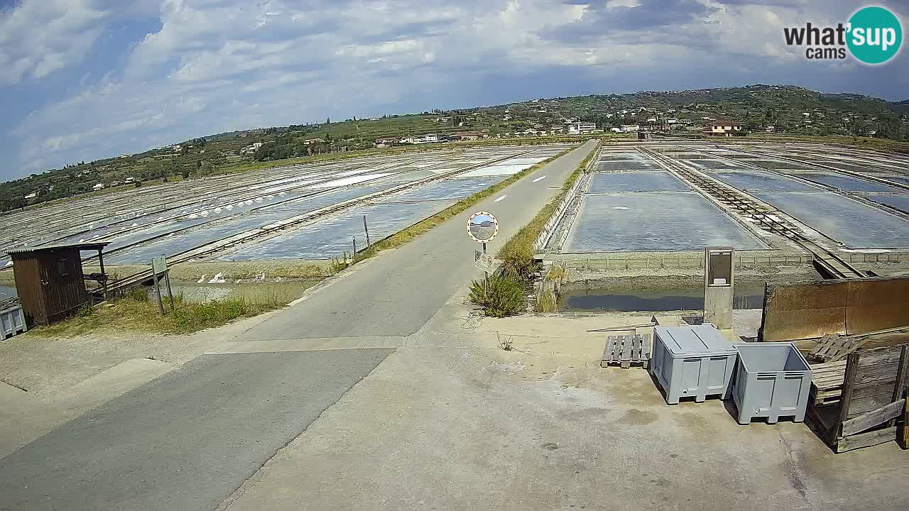 Seča – Panorama