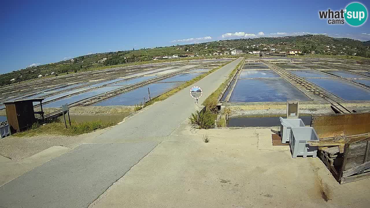 Sezza – Panorama e le saline