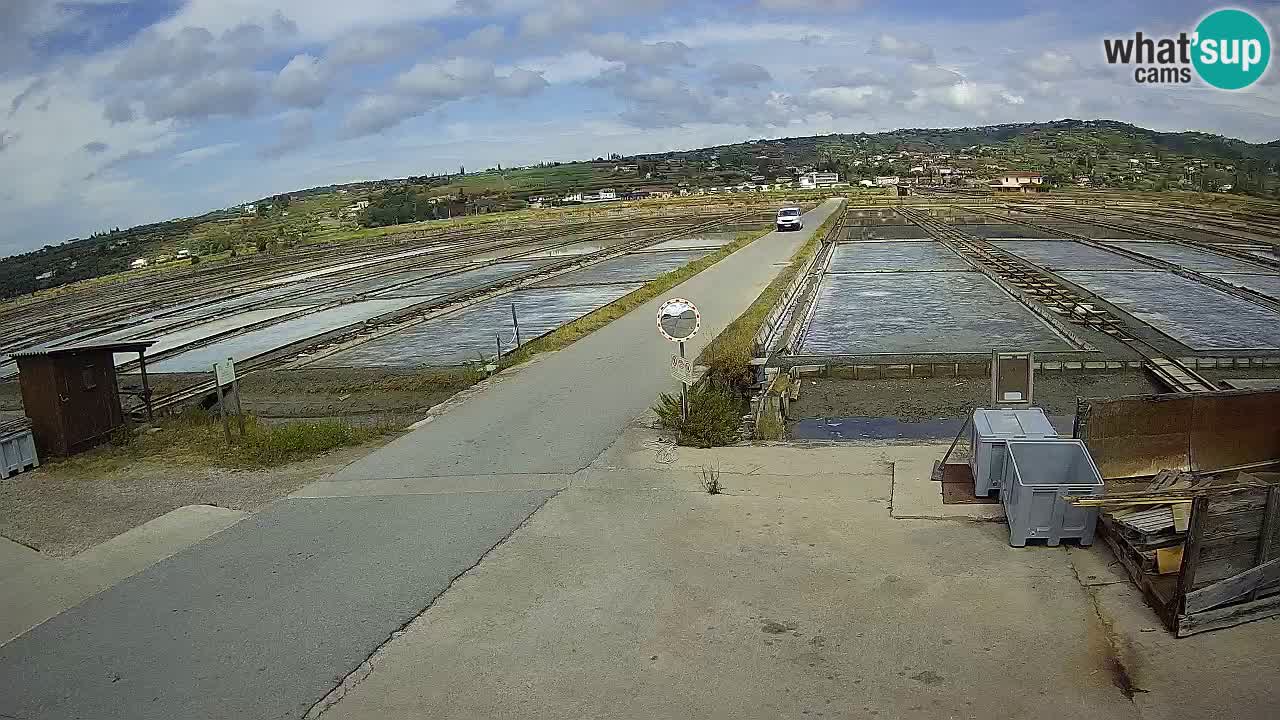 Sečovlje Salina Nature Park – KPSS