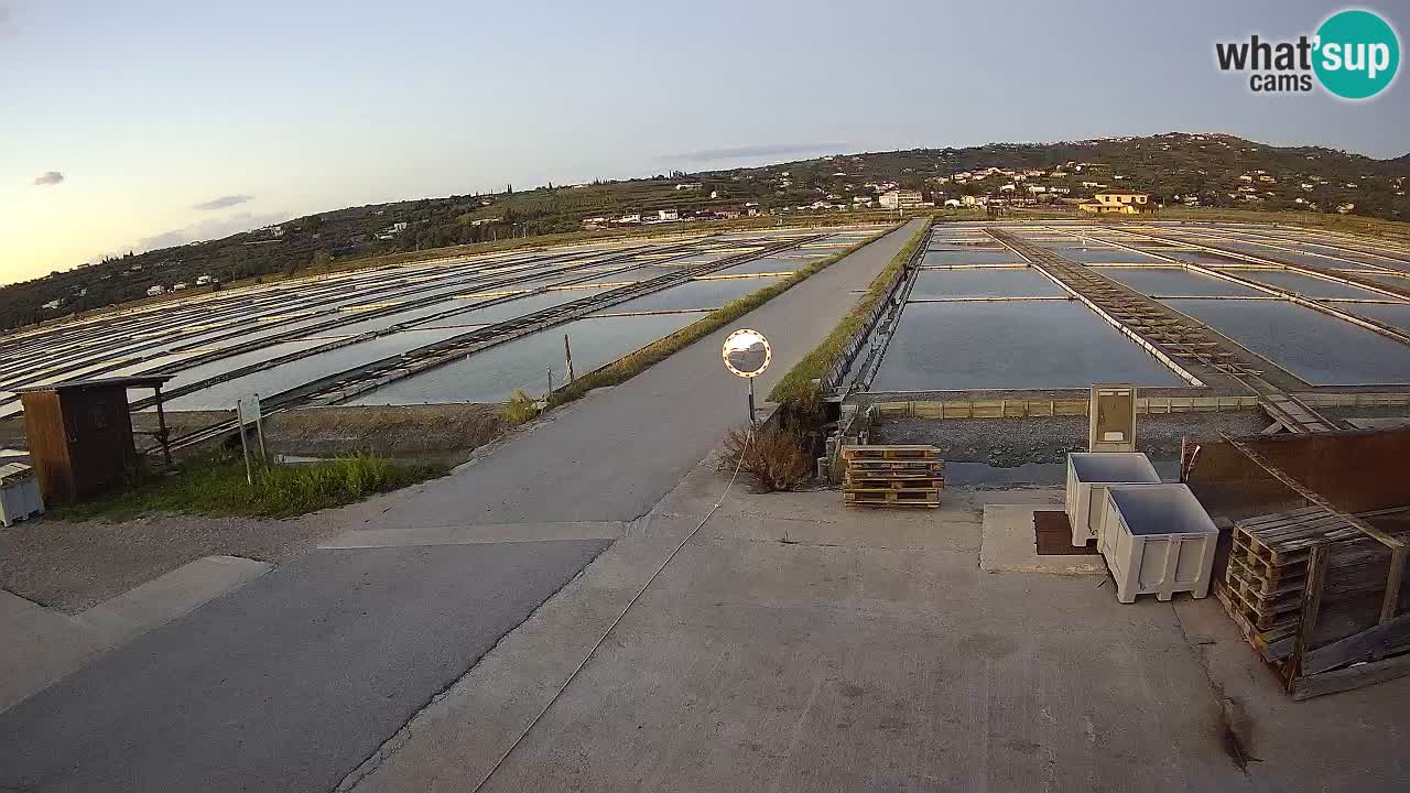 Sečovlje Salina Nature Park – KPSS