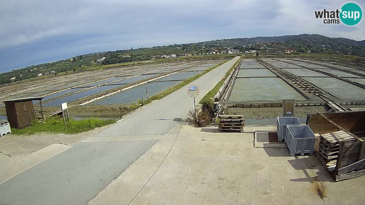 Sečovlje Salina Parque Natural