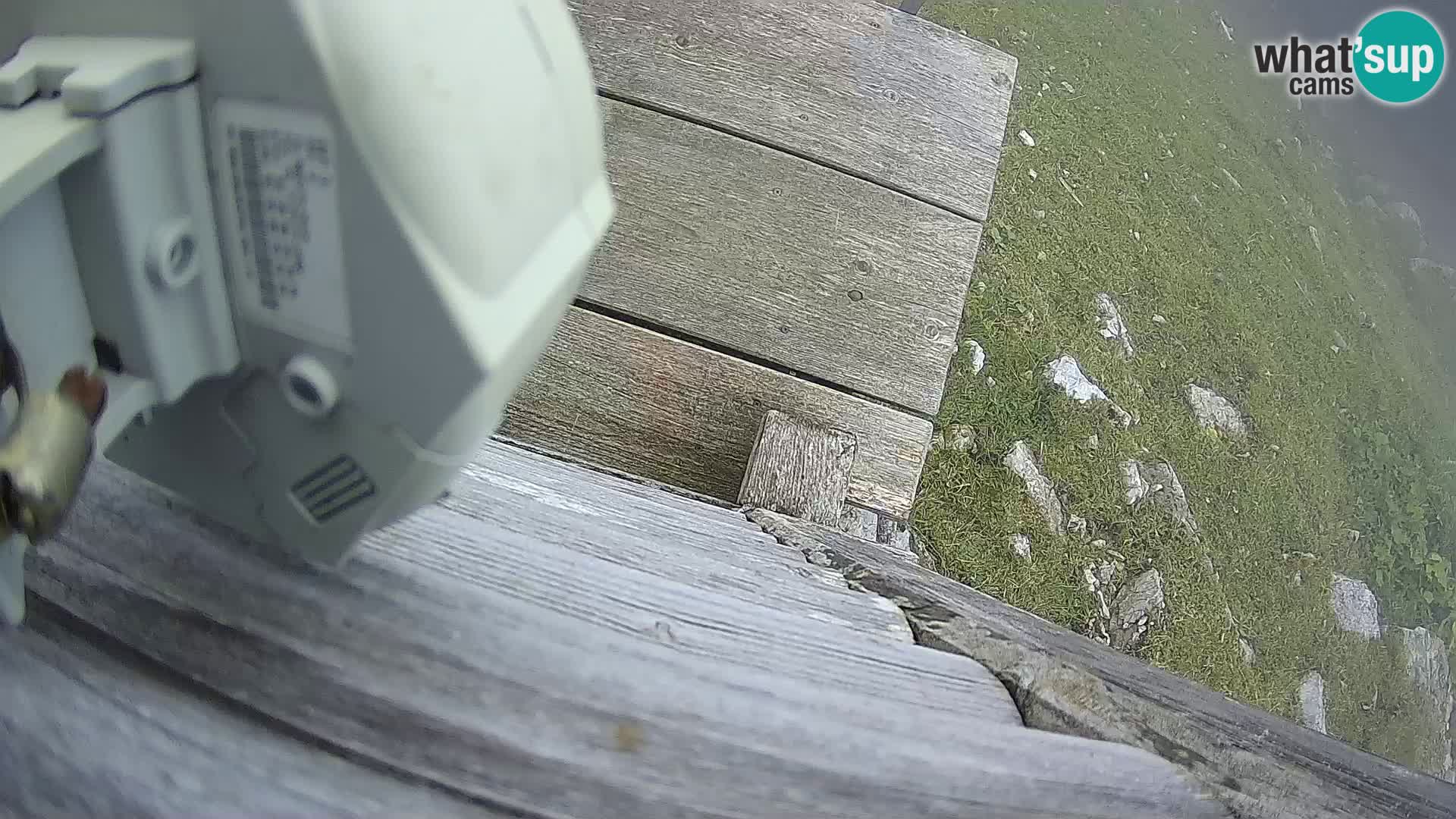 Livecam Sorica Ski resort – Soriška Planina – Vrh Lajnar