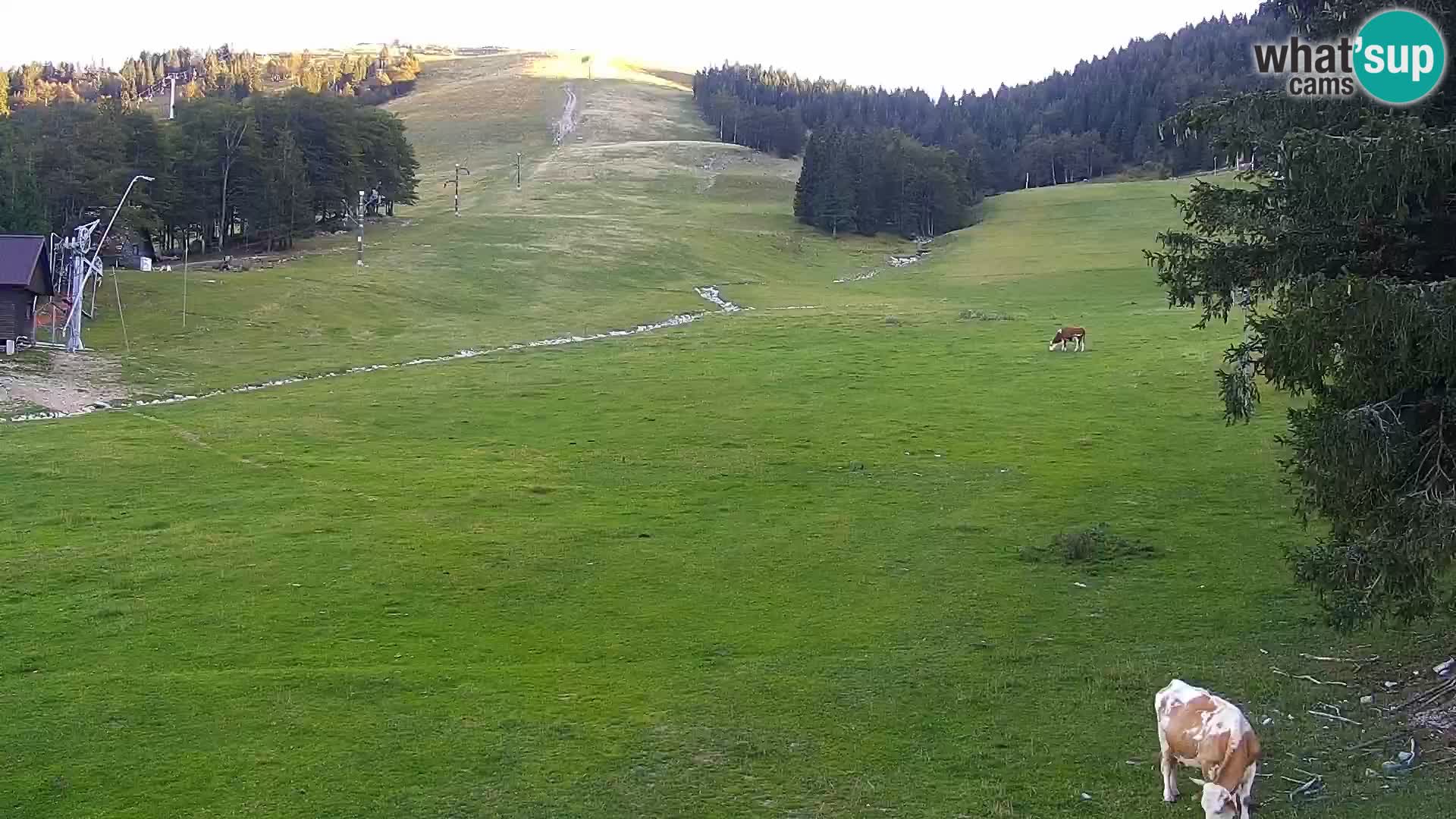 Webcam Sorica