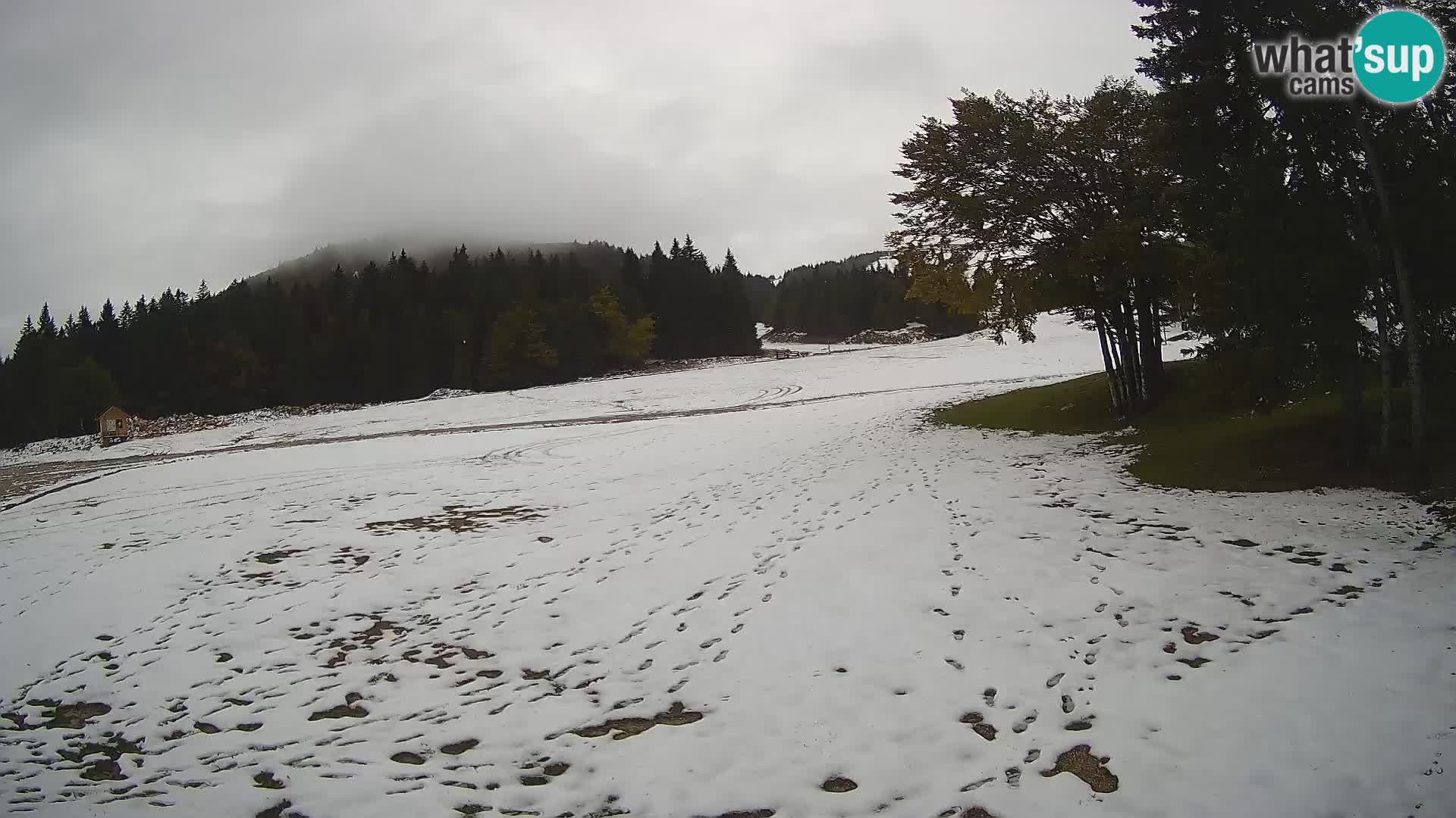 Smučišče Sorica spletna kamera – Sorška planina