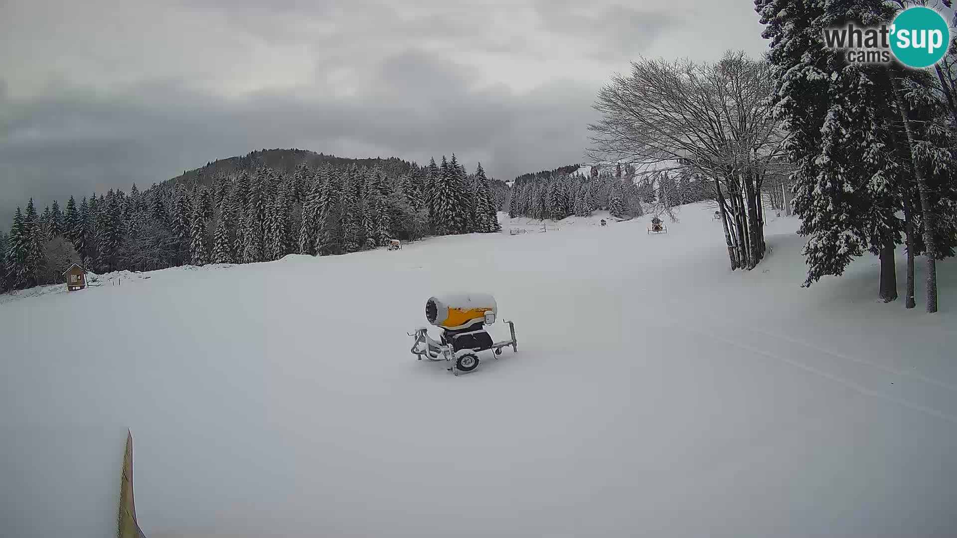 Live Webcam Skigebiet Sorica – Sorška planina – Slowenien