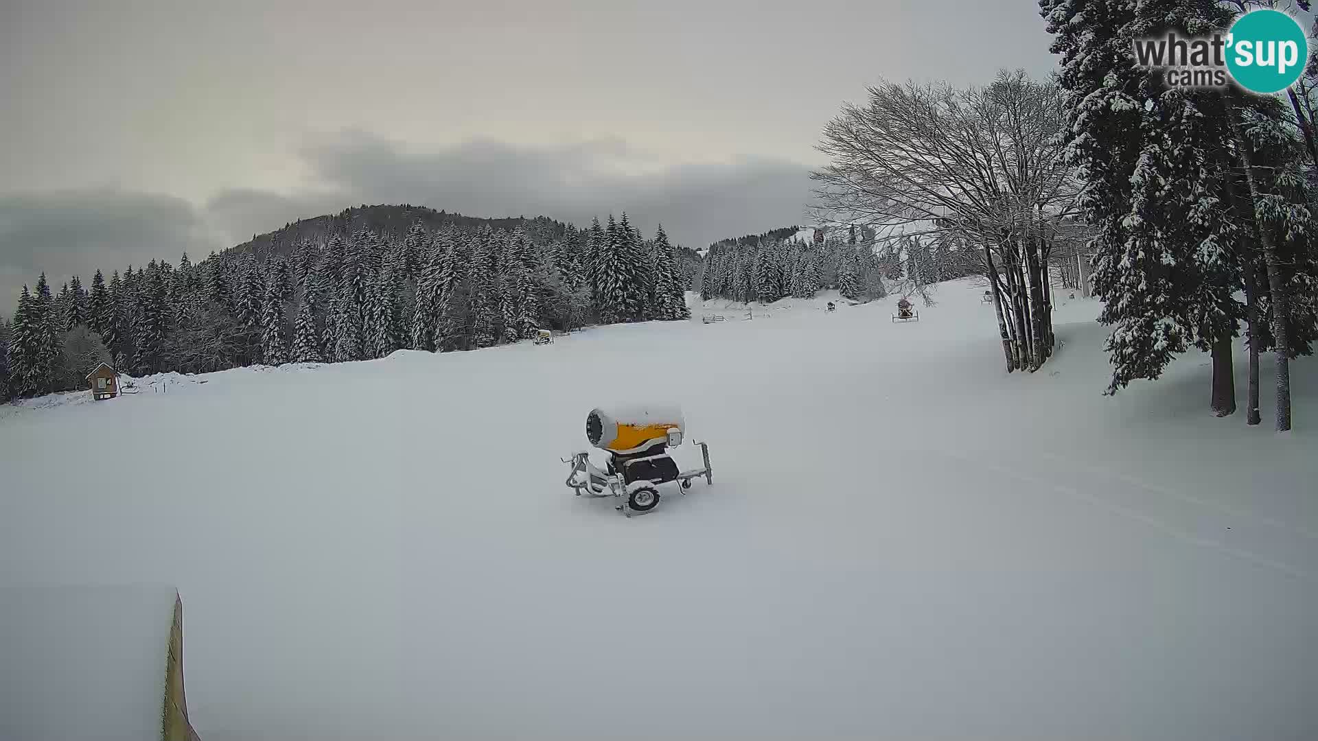 Live Webcam Skigebiet Sorica – Sorška planina – Slowenien